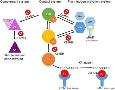 The Search for Biomarkers in Hereditary Angioedema